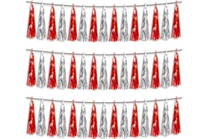 HYSILLA 3P Red Silver Foil Fringe Metallic Tassel Streamers Banner Tassel Garland for Parade Floats, Bachelorette, Wedding, Birthday, Halloween, Christmas, Bridal/Baby Shower Party Decorations