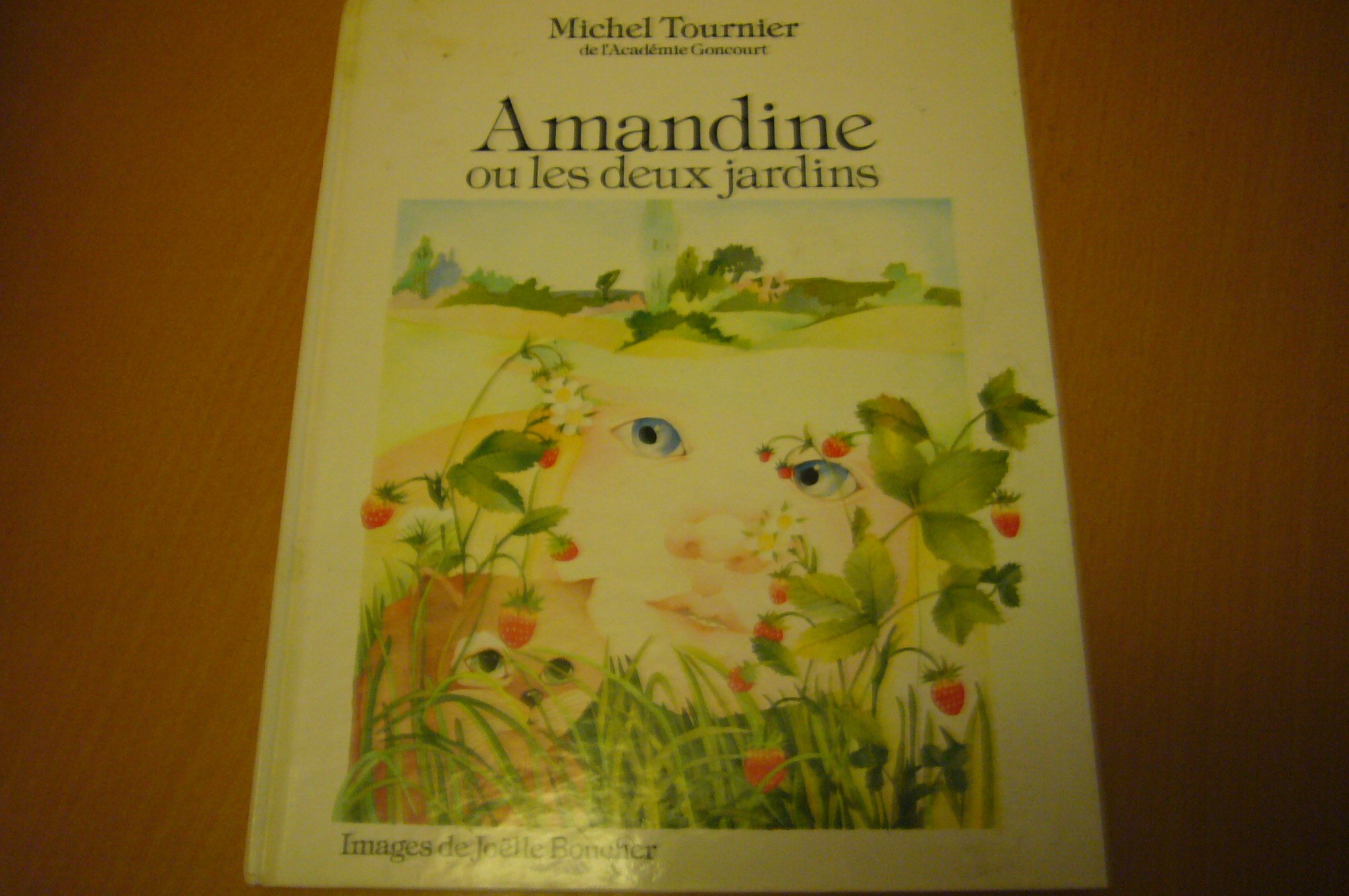 Amazon Fr Amandine Ou Les Deux Jardins Tournier Michel Boucher Joelle Livres