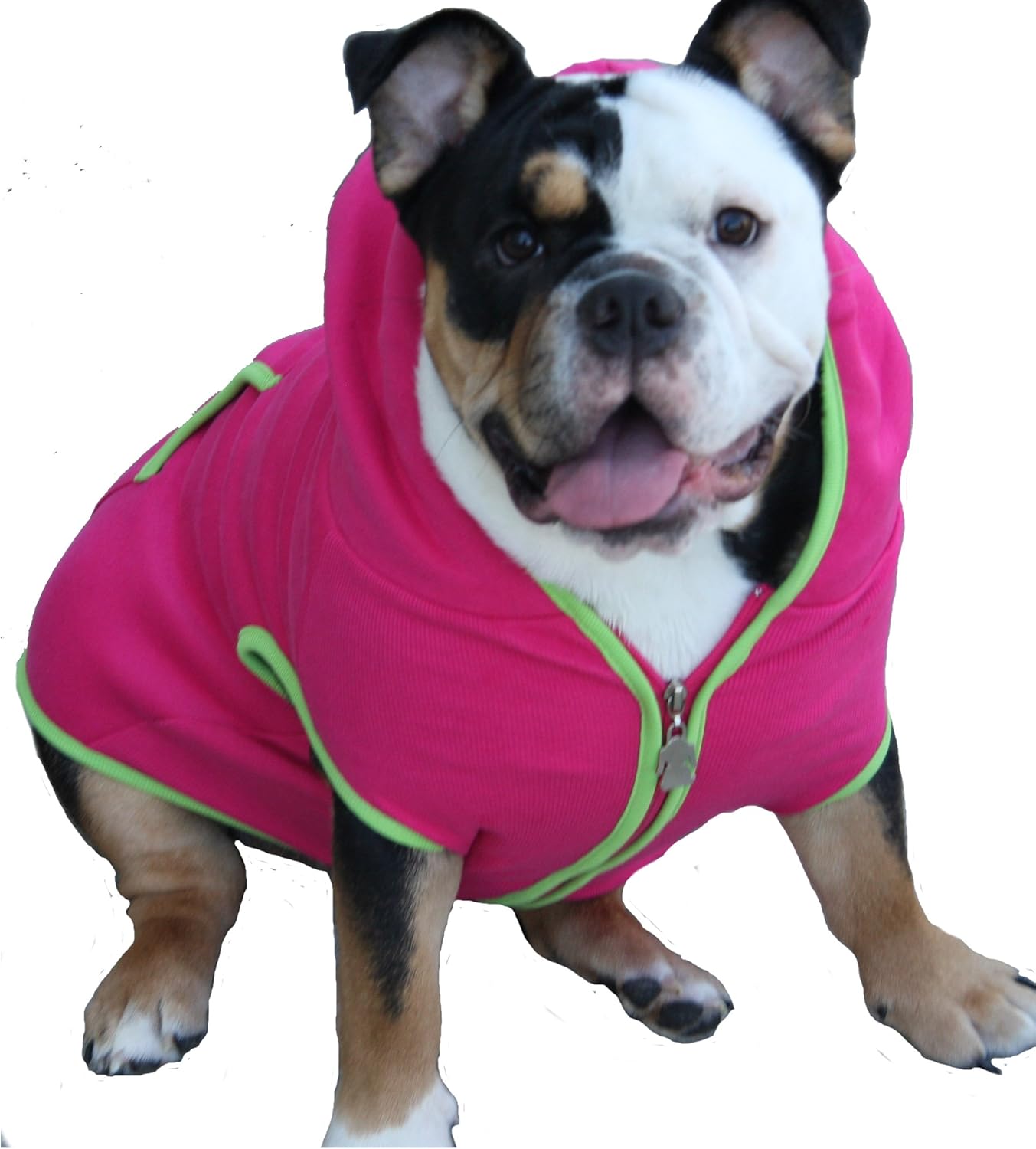 bulldog sweatshirt for dog
