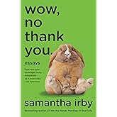 Wow, No Thank You.: Essays (Lambda Literary Award)