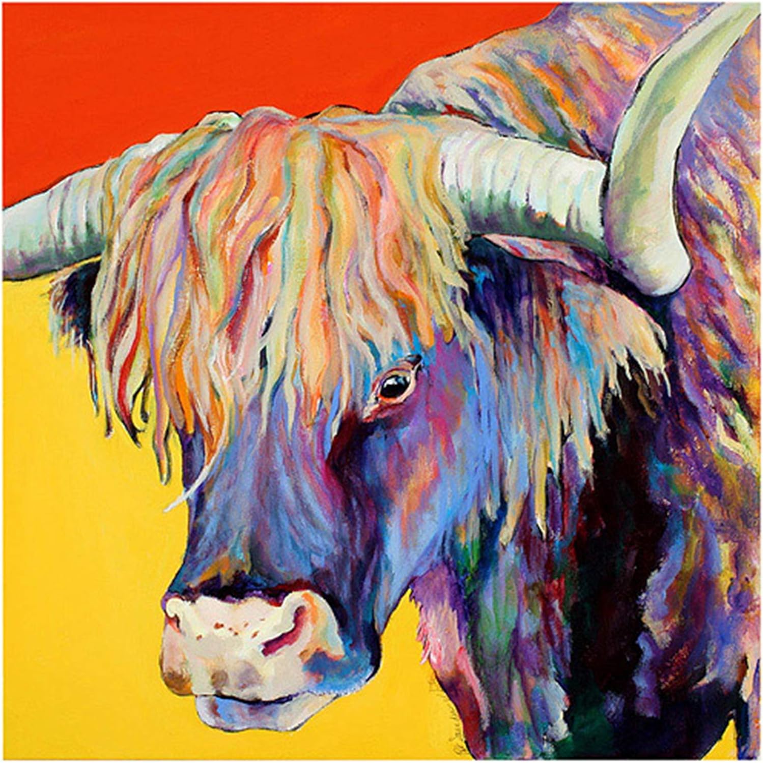 DIY Painting by numbers Abstract colorful highland cow Paint by Numbers