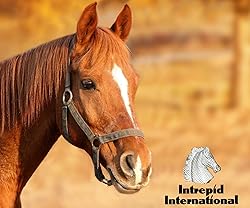 Click Horse Hock Shield, Horse Care Boots, Hock