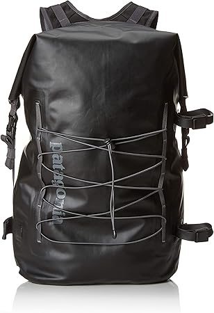 patagonia buckled backpack