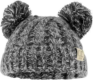 winter hat with 2 pom poms