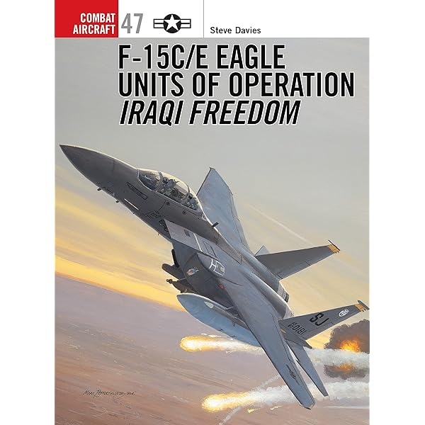 F-15C Eagle Units in Combat: Davies, Steve, Styling, Mark, Davey