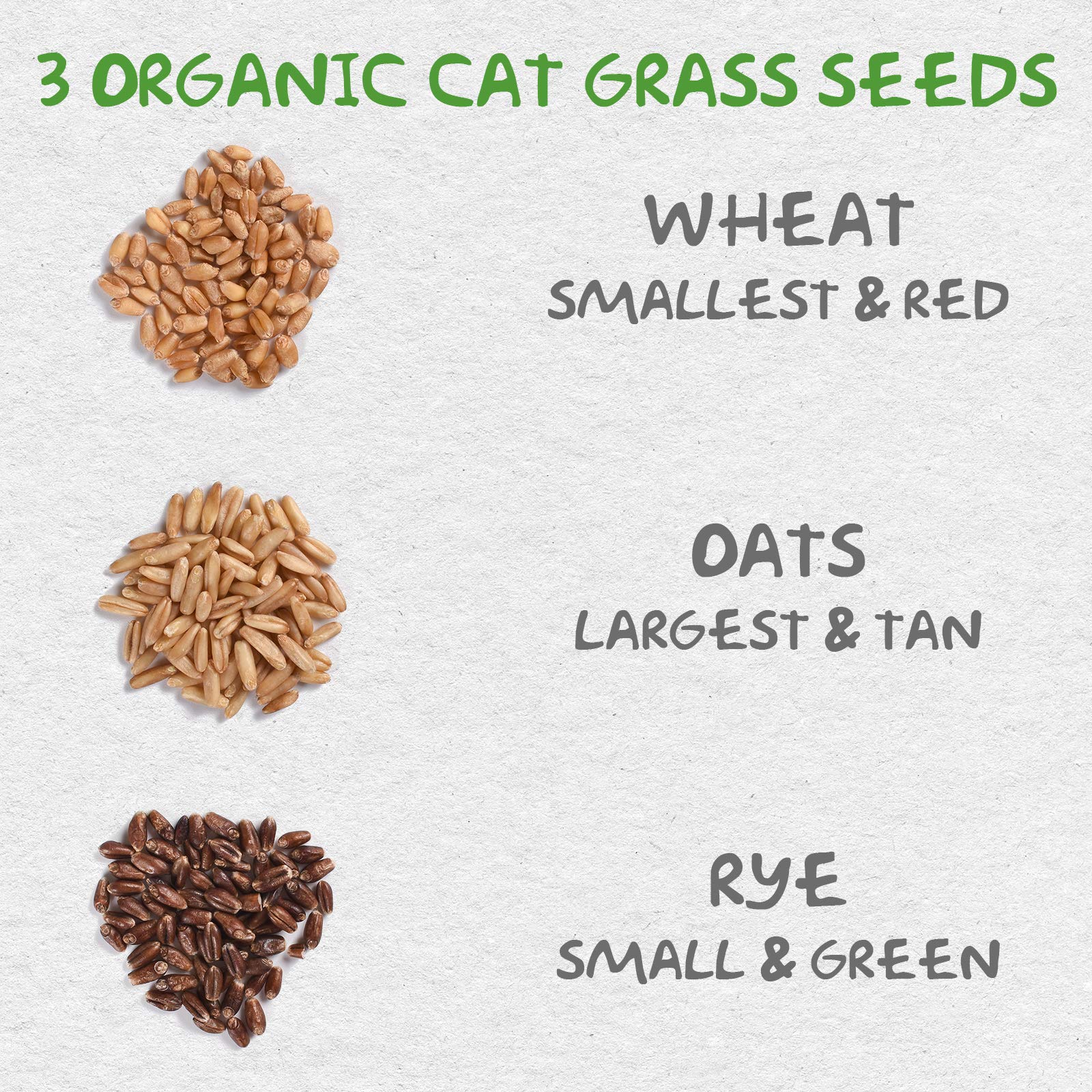 KORAM Cat Grass Growing Kit Organic Pet Grass Kit with Oats Rye Wheat Seeds Trays & Soil Natural Hairball Control Healthy Treat for Cats