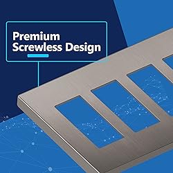LIDER Brushed Finish Decorator Switch