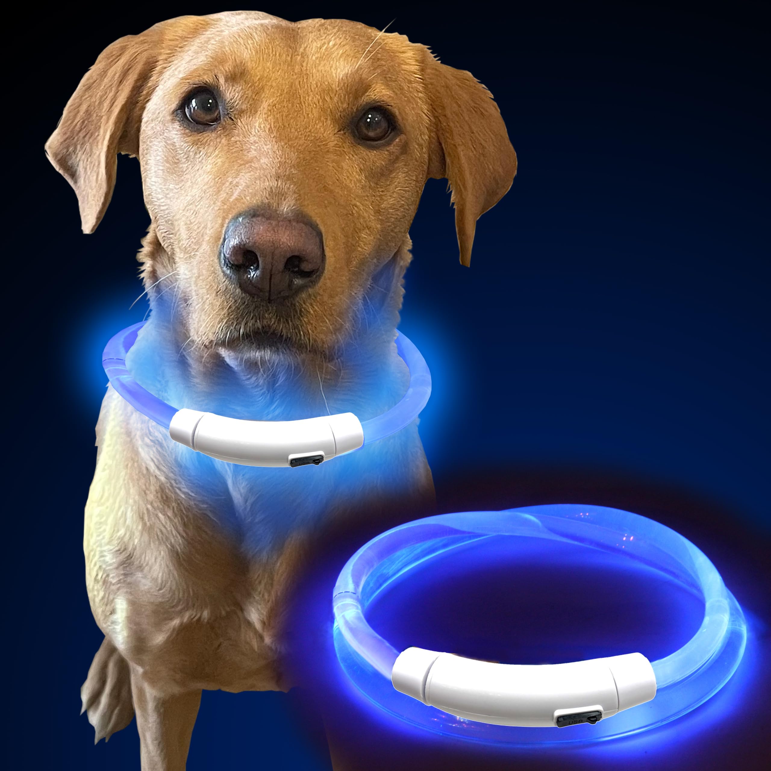 Murr LED Dog Collar Light | Rechargeable Flashing Dog Collars for Dark & Night Walking | USB Light Up Dog Collar for Dogs | Waterproof Safety Collar Lights – Blue