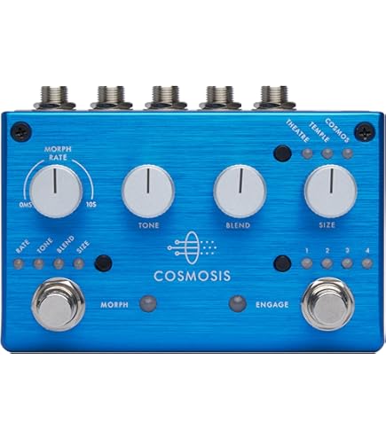 Amazon.com: Pigtronix Echolution 3 Stereo Delay Pedal : Musical