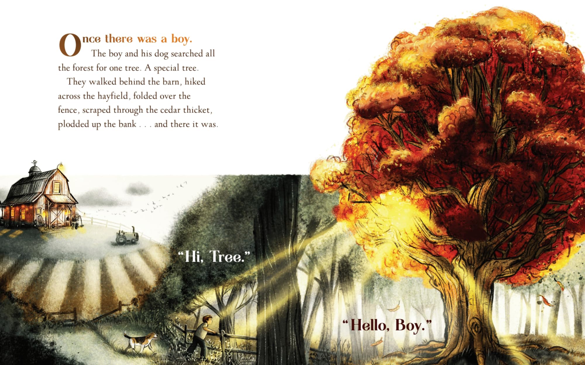 Up Toward the Light Up Toward the Light Hardcover