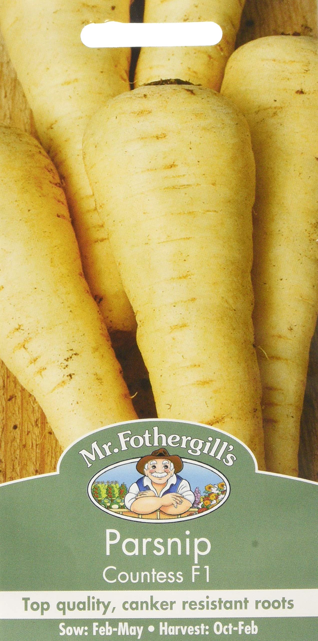 Mr Fothergill's Parsnip Countess F1