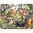 3D LiveLife Magnet - Nature's Home from Deluxebase. Lenticular 3D Bird Fridge Magnet. Magnetic Decor for Kids and Adults with Artwork Licensed from Renowned Artist, David Penfound