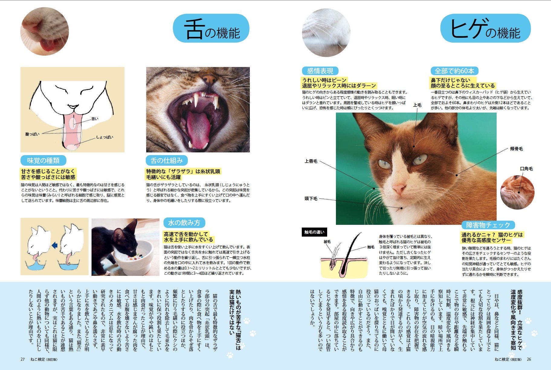 Cat Test Official Guide Book Rev 廣済堂 Besutomukku 370 Amazon Com Books