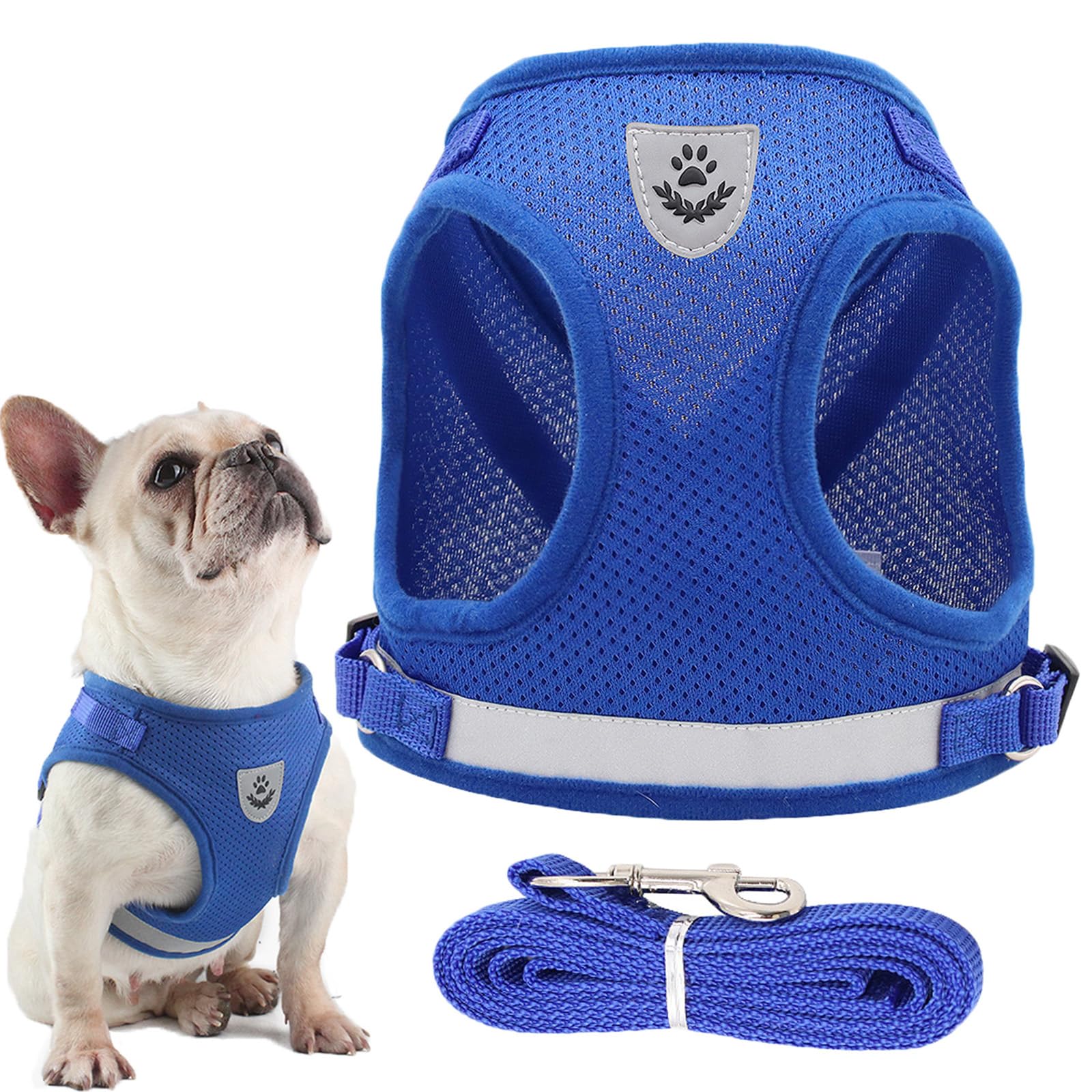 JOOTUEPO Dog Harness and Leash Set, Step-in Small Dog Harness, Soft Mesh No-Chock Reflective Breathable Easy Walk Lightweight Vest Harnesses with Safety Buckle for Small Dogs, Cats, XS