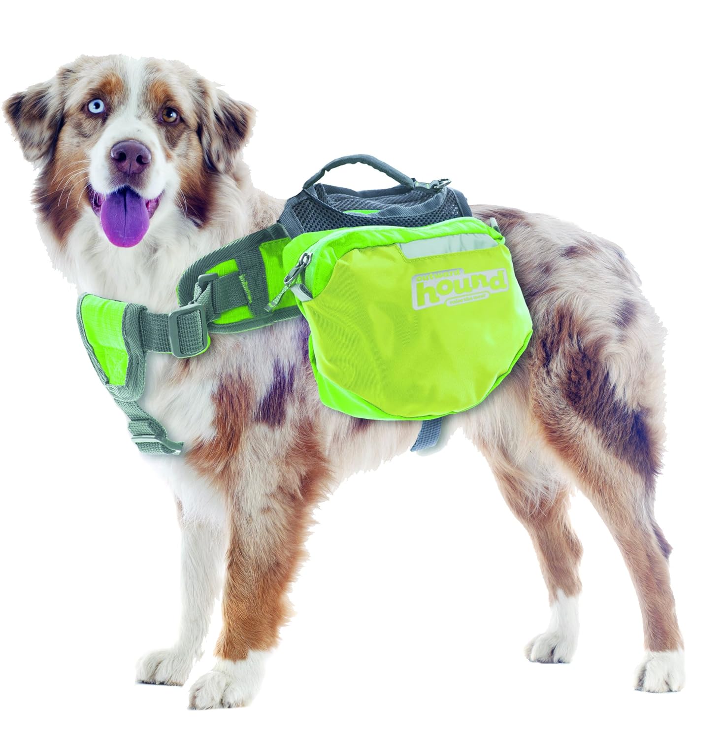Best Backpack For Dogs Reviews on Flipboard by Andrew Paul