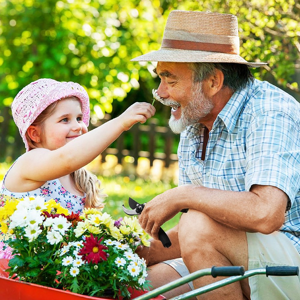 4-FQ Pruning Shears Hand Pruner Professional 8\'\' Premium Titanium Bypass Garden Ratchet Garden Clippers Scissors, Plant Flower SK-5 Steel Blade Cutter for Lawnl