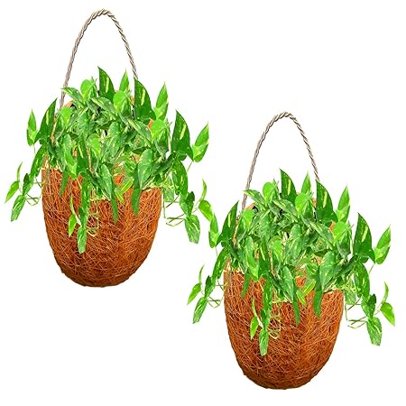 LIVEONCE Wall Pot Coir Made Planter Hanging Set of 2 Used AS Railing planters,Hanging planters,Poly Grow Bags,Plant Stands,Plastic pots,Desk pots,Clay pots,Ceramic pots