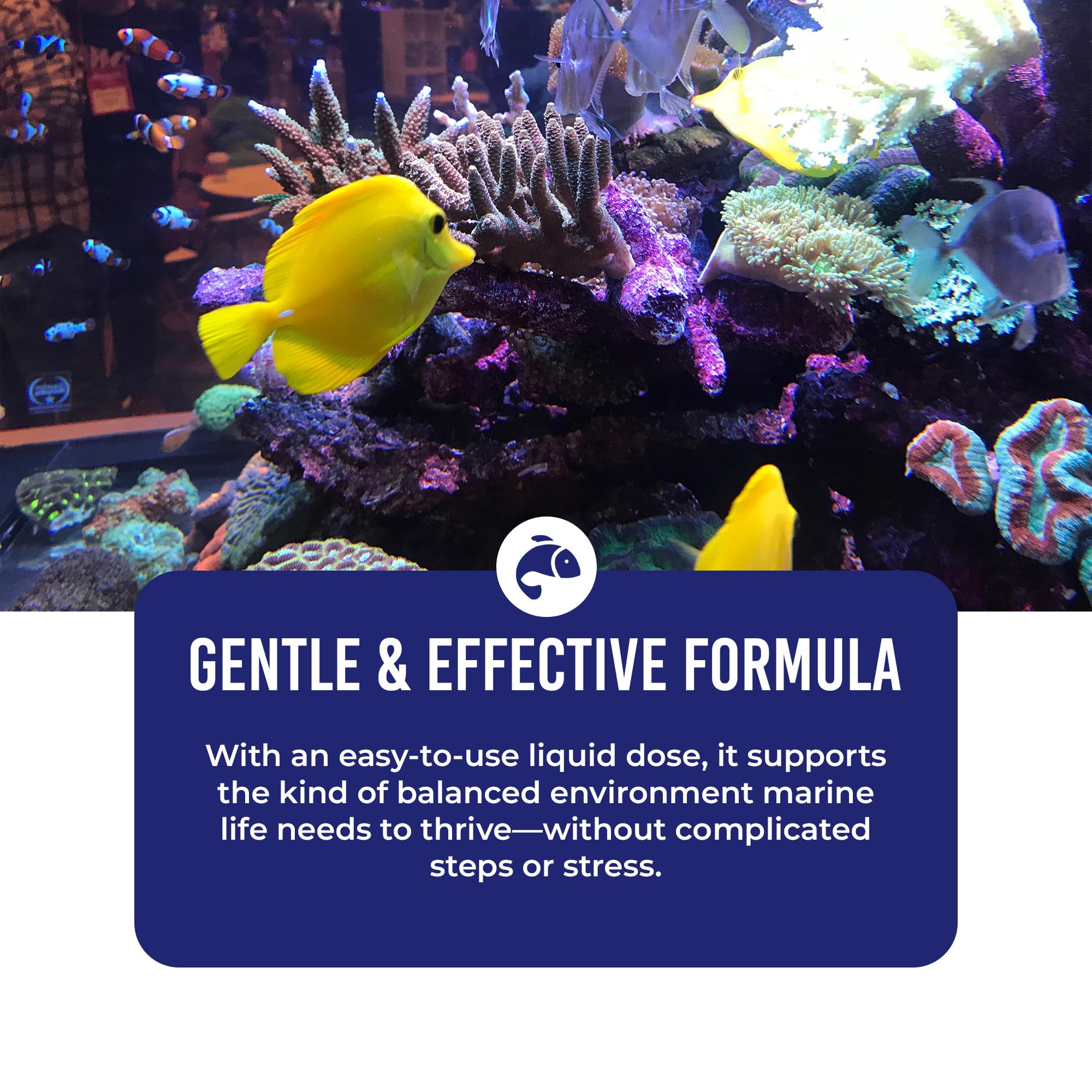 Photo inspiration: Gallery Detail: Mua Drtim S Aquatics Saltwater One Only 8 Oz