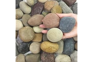 FANTIAN 5 lbs Natural Aquarium Rocks, 2-3 Inch Large Pebbles.Decorative River Rocks for Plants, Fish Tank, Garden, Paving, Fountain, Walkways and Outdoor Landscaping
