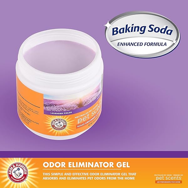 ARM & HAMMER FOR PETS SCENTS SOLID GEL DEODORIZER IN LAVENDER FIELDS SCENT | ROOM DEODORIZER FOR HOMES WITH PETS, ODOR REMOVING GEL FOR PET SMELLS, 15 OUNCES