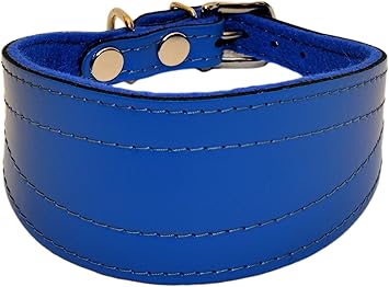 lurcher puppy collar