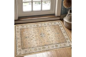 BEIMO 2x3 Area Rugs for Entryway Front Entrance Kitchen Bathroom, Machine Washable Print Soft Floor Cover, Small Vintage Stain Resistant Aesthetic Mat, Medium Pile with Non Slip Rubber Backing