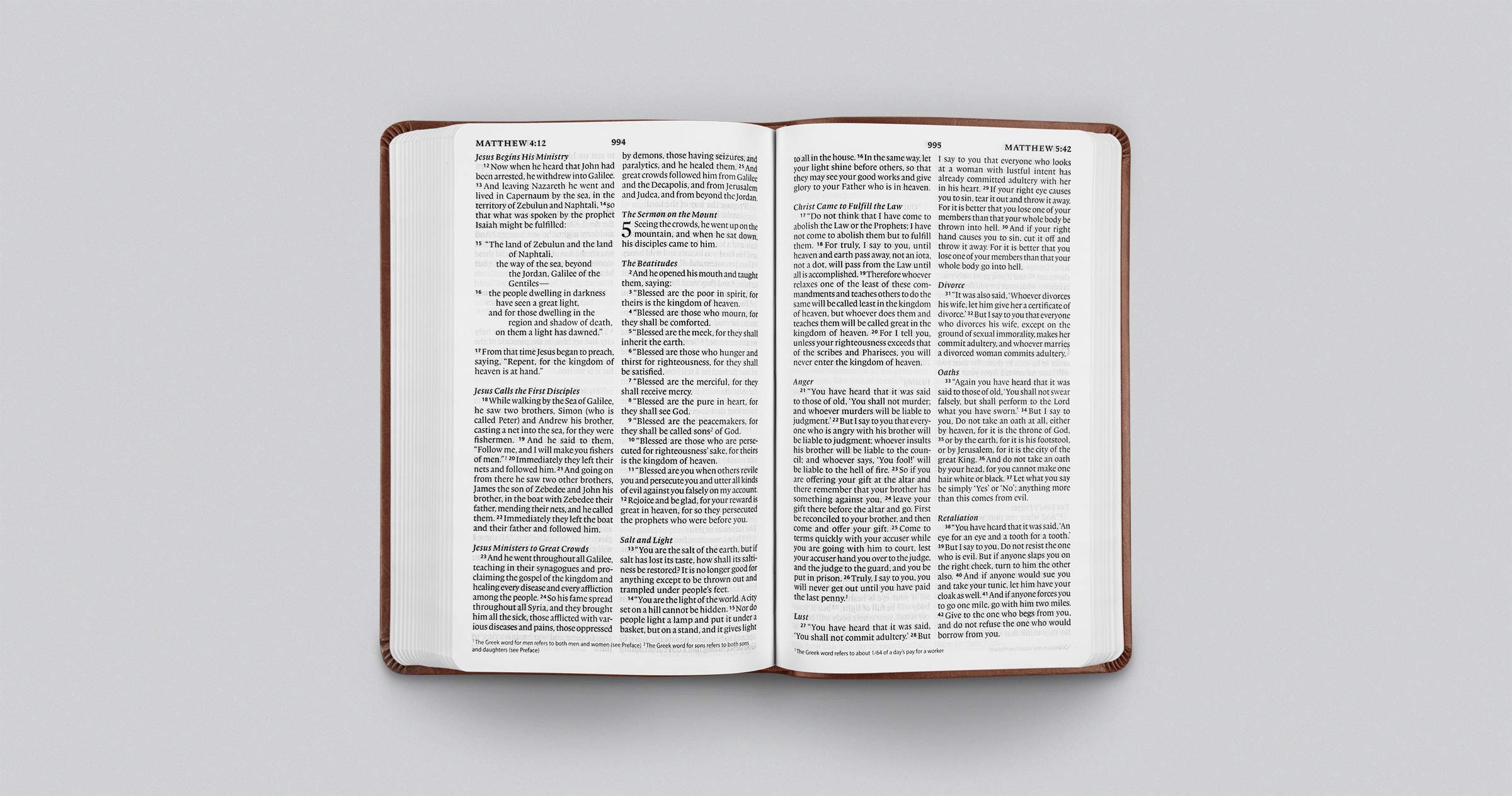 ESV Large Print Value Thinline Bible (TruTone, Chestnut)