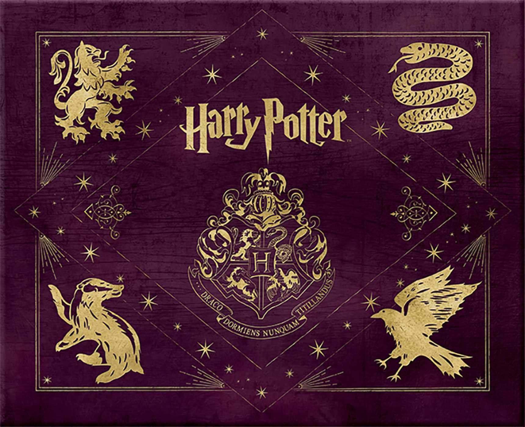 Harry Potter Hogwarts Deluxe Stationery Kit (Insights Deluxe Stationery Sets)