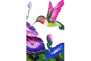 YAKOLECI Latch Hook Kits for Adults, DIY Crafts Shaggy Pre-Printing Crochet Kit for Home Decoration Kids Hobby Xmas Gift 23.6" X 15.8" (Hummingbird)