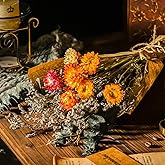 TEWEIQI Dried Daisy Flower Bouquet with Eucalyptus, Babies Breath, Used for Home Farmhouse Decor, Table Decor Real Dried Flowers for vase, Gift for Mother Friend. 16.5 Inches