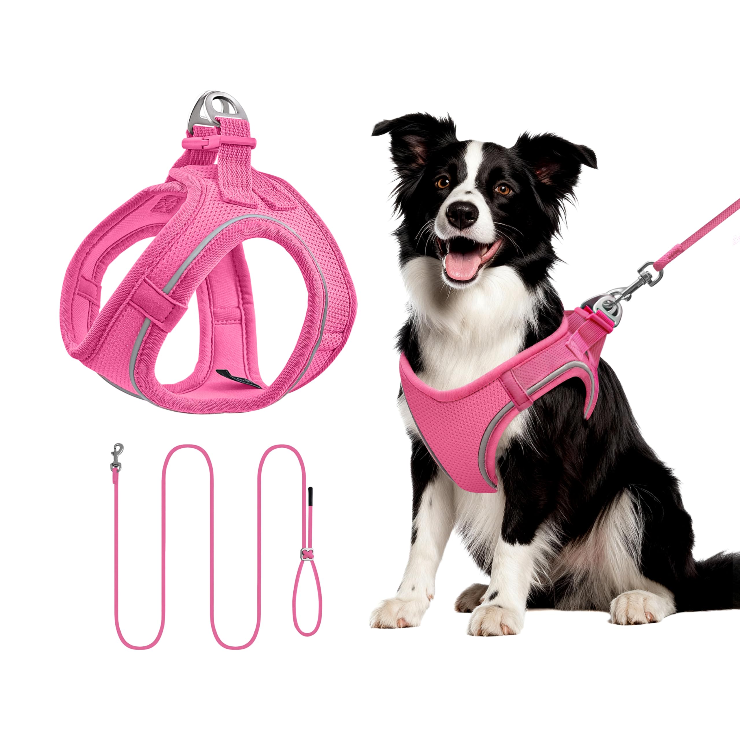 Qianruida Adjustable Harness for Cats with Lead, Reflective Adjustable Harness for Small Dogs, Easy to Put on, Ideal for Cats and Puppies (ROSEO L)