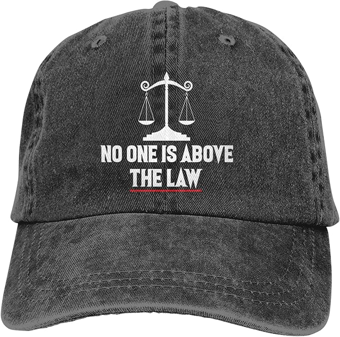 No One is Above The Law2 Vintage Washed Cotton Baseball Cap Dad Hat