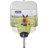 Lixit&reg; All-Weather Rabbit Water Bottle - 64 Ounce Widemouth Cage Water Bottles for Rabbits, Ferrets, Guinea Pigs, Rats, and Other Small Animals (White, 64 Ounce)