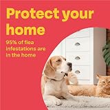 Bob Martin Clear Dual Action Flea Bomb for Home 1 Can Kills Fleas Fast view 4