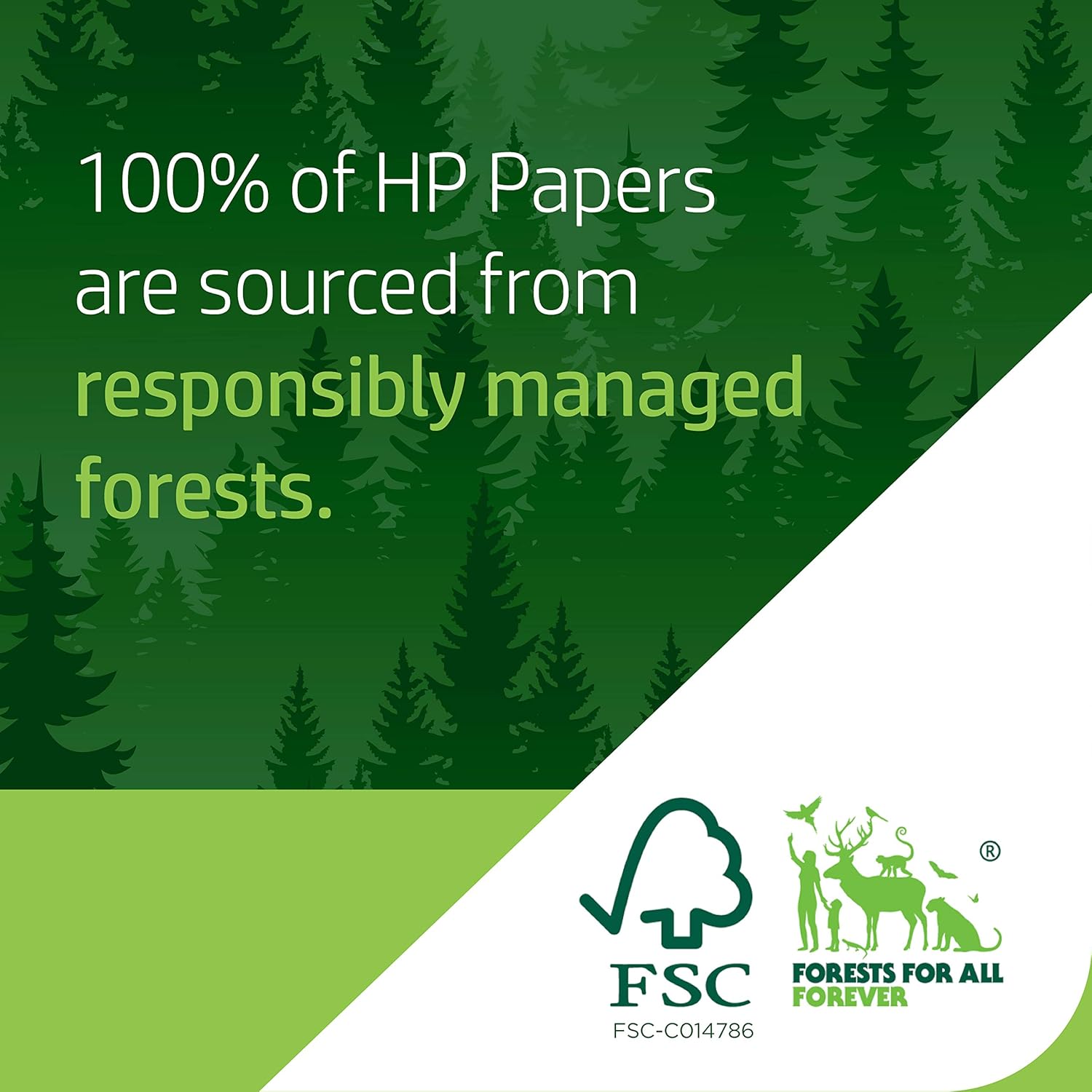 hp Printer Paper | 8.5 x 11 Paper | Premium 32 lb | 6 Pack - 1, 500 Sheets| 100 Bright | Made in USA - FSC Certified | 113500C : Office Products