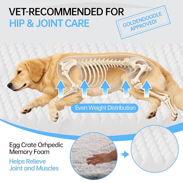FOLDABLE HUMAN DOG BED FOR ADULT, ORTHOPEDIC MEMORY FOAM LARGE PET SOFA, WASHABLE DOG COUCH WITH REMOVABLE WATERPROOF COVER, SOFA BED FOR ADULTS PETS AND FAMILIES, 74.8”X43.3”X11.81”