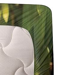 Ambesonne Cactus Sheet Set, Photo of Cactus Plant