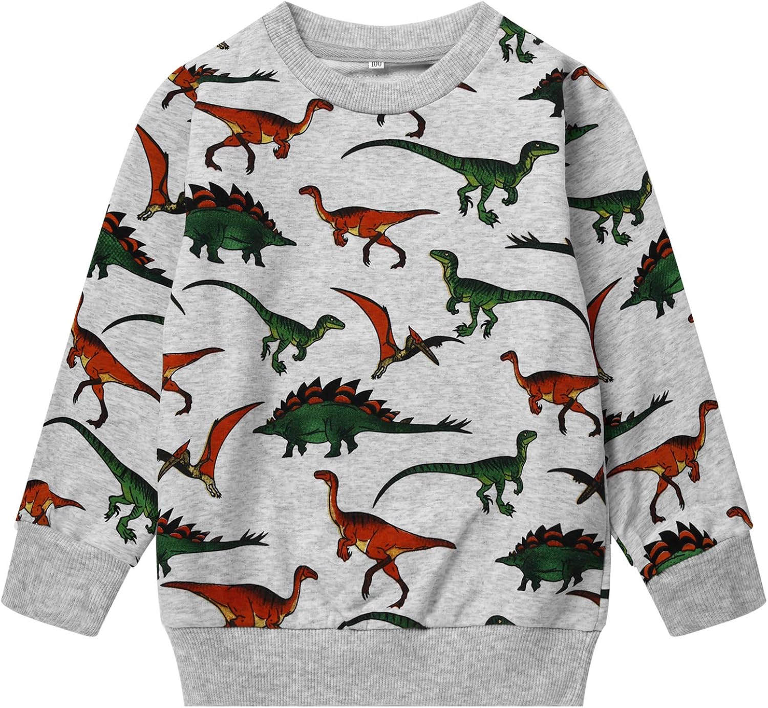 Toddler Boys Dinosaur Sweatshirts Cartoon Winter Long Sleeve Kids Sport Outdoor Pullover Tops Tees 2T-8T: Clothing