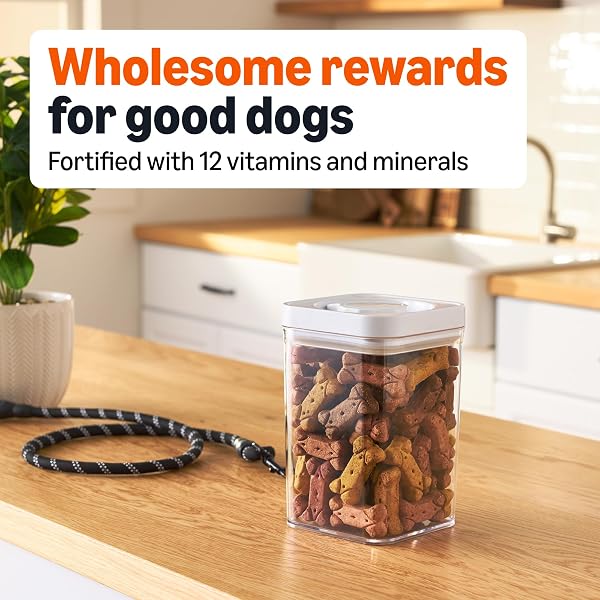 AMAZON BASICS CRUNCHY DOG BISCUITS GRAVY BASTED FLAVOR DOG TREATS 5 LB. BOX