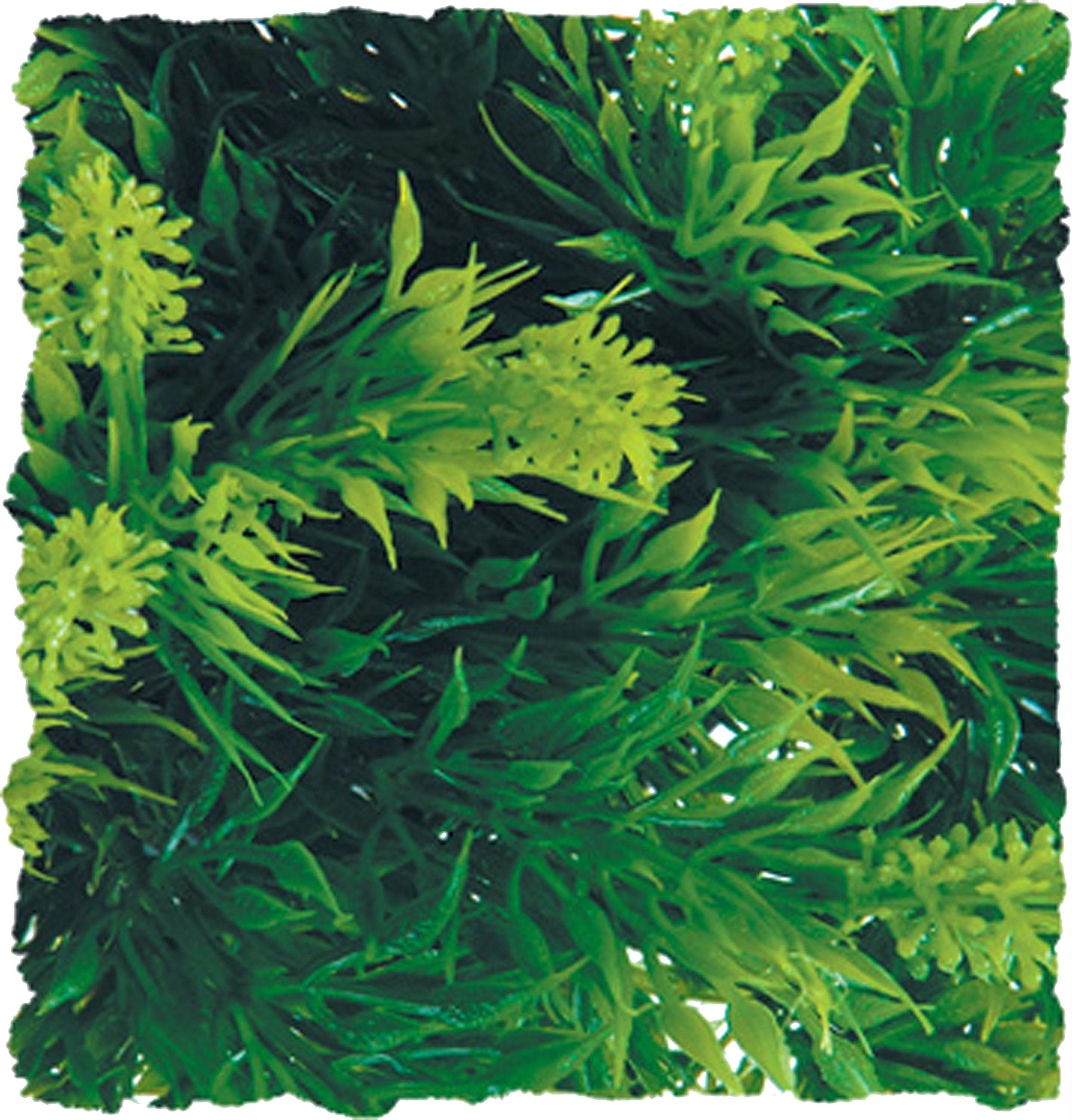 Zoo Med BU-23 Malaysian Fern, Medium