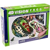 4D Vision Frog Anatomy Model | 4D Vision Frog Anatomy Model Kit, STEM Biology Learning Toy, Build a Realistic Frog Model, Ages 8+