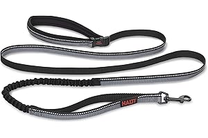 COMPANY OF ANIMALS HALTI Active Leash - Award-Winning Bungee Dog Leash, Shock-Absorbing, All-in-One Neoprene Padded Belt & Lead, Perfect for Running & Training with Small & Medium Dogs (Size Small, Black)