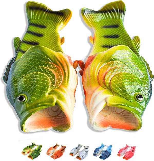 coddies amazon