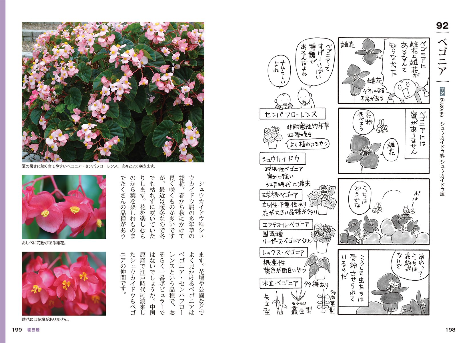 おもしろ植物図鑑 マンガと写真でゆる く楽しむ 草花の魅力 こざる 花福 本 通販 Amazon おもしろ植物図鑑 マンガと写真でゆる く楽しむ 草花の魅力 こざる 花福 本 通販 Amazon