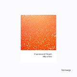Hemway Glitter Shaker Fluorescent Peach Orange 130g Microfine Glitter view 2