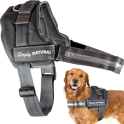 chew proof dog harness amazon