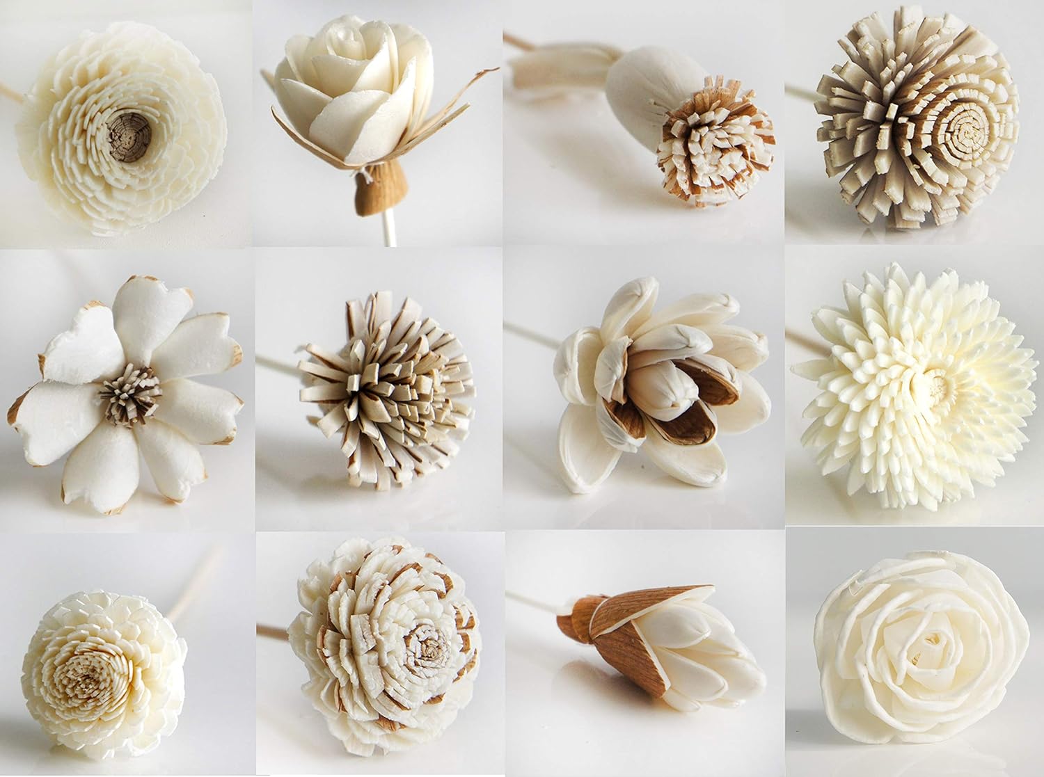 Plawanature Set of 12 Mixed Sola Wood Flower with Reed Diffuser for Home Fragrance Aroma Oil, Beige, 5x20 - Image 4