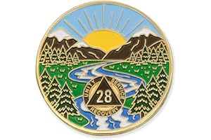 28 Year Sobriety Mint Winding River Gold Plated AA Recovery Medallion/Chip/Token