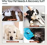 Kuoser XS Dog Surgery Recovery Suit Adjustable Post-Surgical Onesie Blue view 6