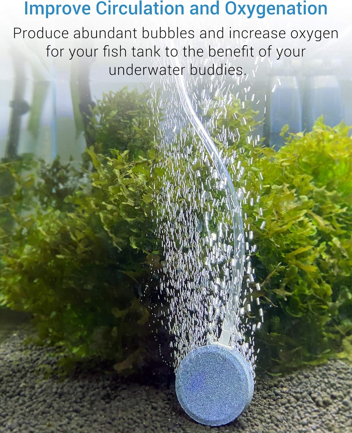 NICREW UFO Mini Aquarium Air Pump, Ultra Silent Air Aerator Pump for Fish Tank, Oxygen Bubbler with Single Outlet, Accessories Included, 1.7W: Sports & Outdoors